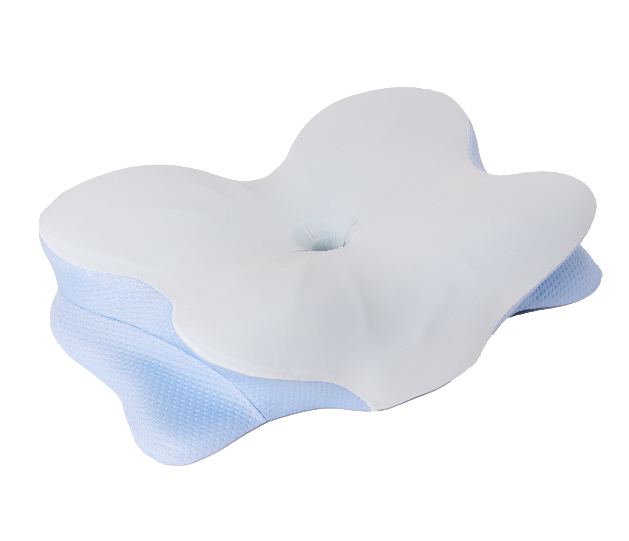 Derila Ergo ergonomic memory foam pillow — full view on transparent background